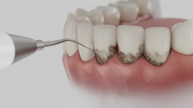 Reliable Dental contractor in Deer Lodge, MT by Dentist Open Now